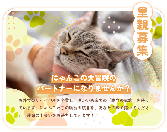 里親募集